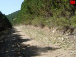 foromtb_image_21ago_56_num.jpg