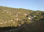 DSC01226.jpg