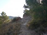 DSC01227.jpg