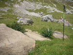 Foto59.JPG