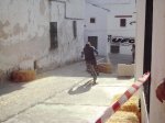 DSC00904.jpg