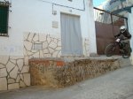 DSC00917.jpg