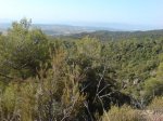 DSC00026.jpg