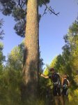 Imagen011.jpg