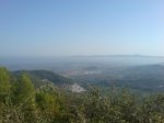 DSC01235.jpg