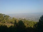 DSC01239.jpg
