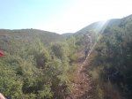 DSC01253.jpg