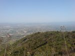 DSC01259.jpg