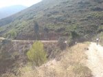 DSC01260.jpg