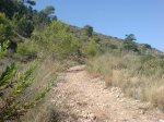 DSC01262.jpg
