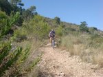 DSC01263.jpg