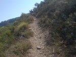 DSC01264.jpg