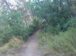 DSC01273.jpg