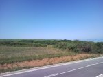 SNC00055.jpg