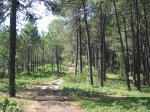 mini-IMG_5188.JPG