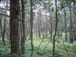 mini-IMG_5193.JPG