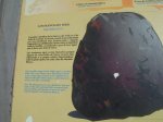 SV107110.jpg