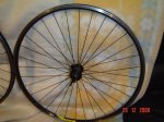 DSC04420.jpg