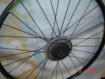 DSC04422.jpg