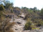 SL271277.JPG