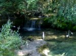 19082009650-001.jpg