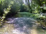 20082009659-001.jpg