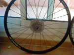 DSC00049.jpg