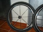 DSC03052.jpg