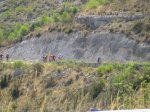 IMG_0764.jpg