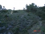 ds_DSC02835.jpg