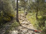 ds_dsc 009.jpg