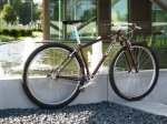 surly29.jpg