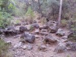 Pedregal.jpg