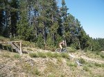S0051178.JPG