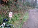 24082009_003.jpg