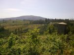 25082009_002.jpg