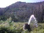 25082009_003.jpg