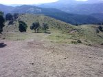 P1204_26-08-09.JPG