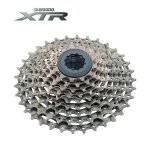 PiÃ±on xtr.jpg
