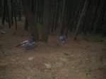 IMG_2170.JPG