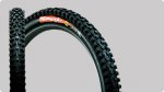 tamashi_dh_race_compound.jpg