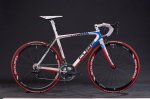 cube_bikes_2010_litening teamline.jpg