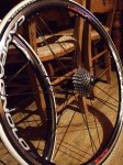 DSCF2611 (450 x 600).jpg