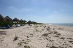 eco-paraiso-beach[1].jpg