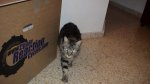 DSC00179.jpg