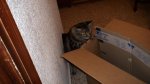 DSC00182.jpg