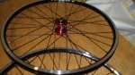 DSC00184.jpg