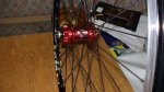 DSC00185.jpg