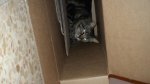 DSC00187.jpg