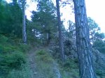 Imagen074 (Medium).jpg